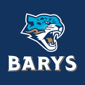 Barys